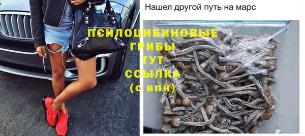 ALPHA PVP Алзамай