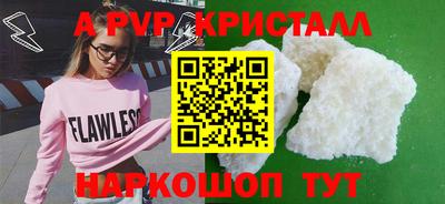 твердый Кингисепп